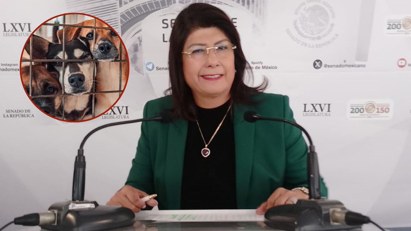 Esta senadora admitió haber matado a 10 mil perros cuando fue alcaldesa